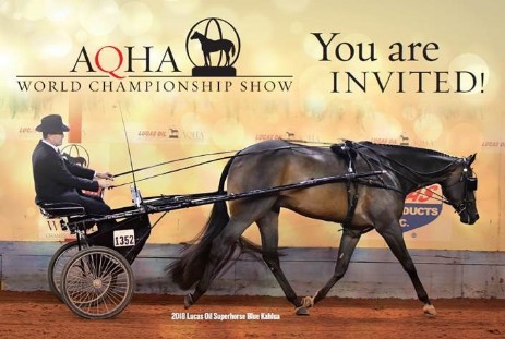 2019 Invitation to the AQHA World Show