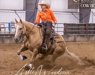 Our show horses rock! Check them out!