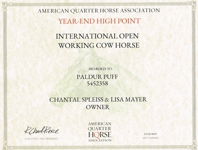 International Open Working Cow Horse
